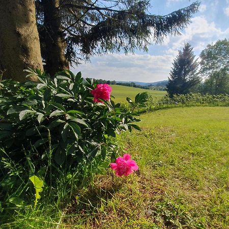 Ferienhaus Beerberg Suhl Esterno foto
