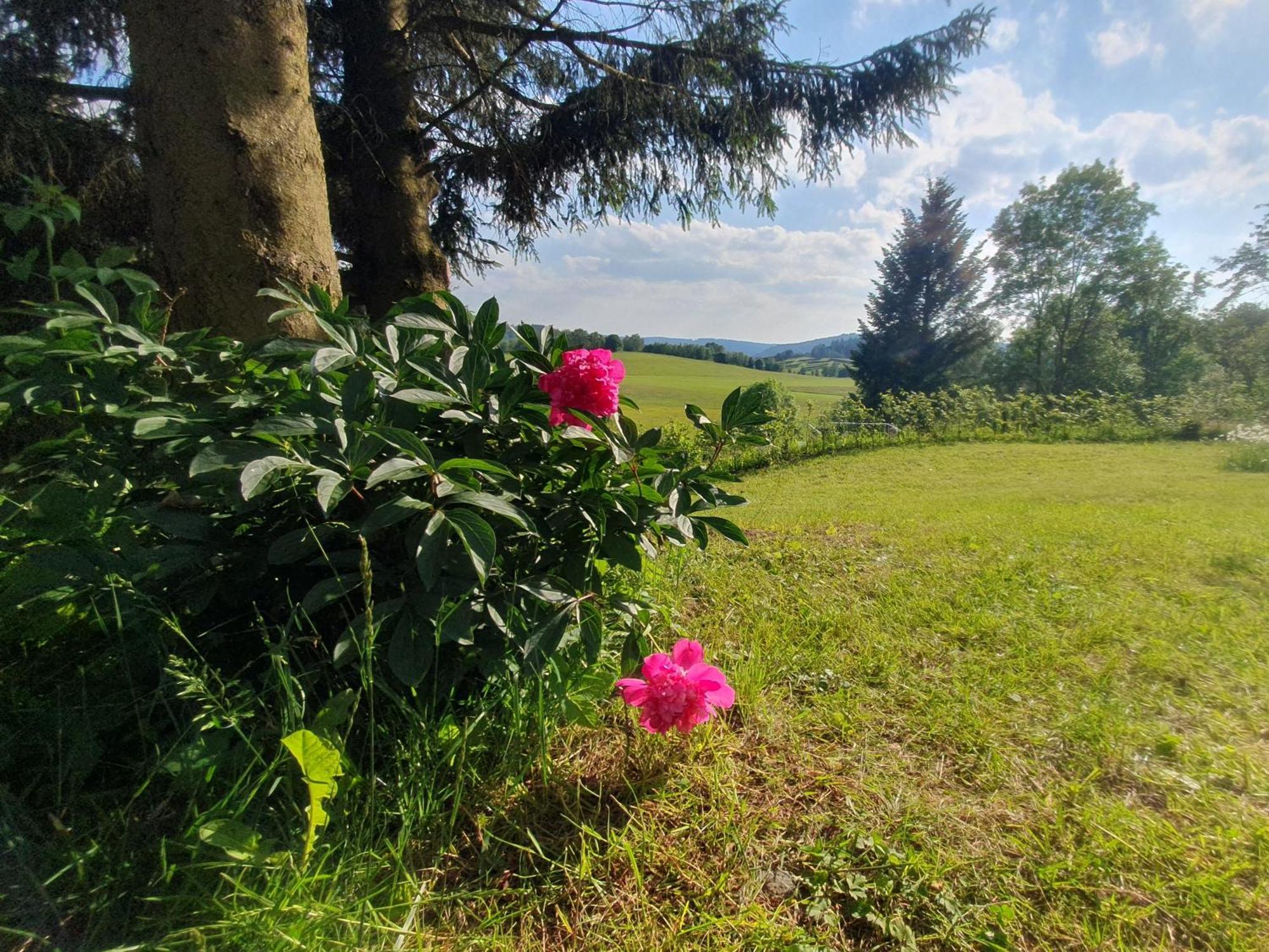 Ferienhaus Beerberg Suhl Esterno foto
